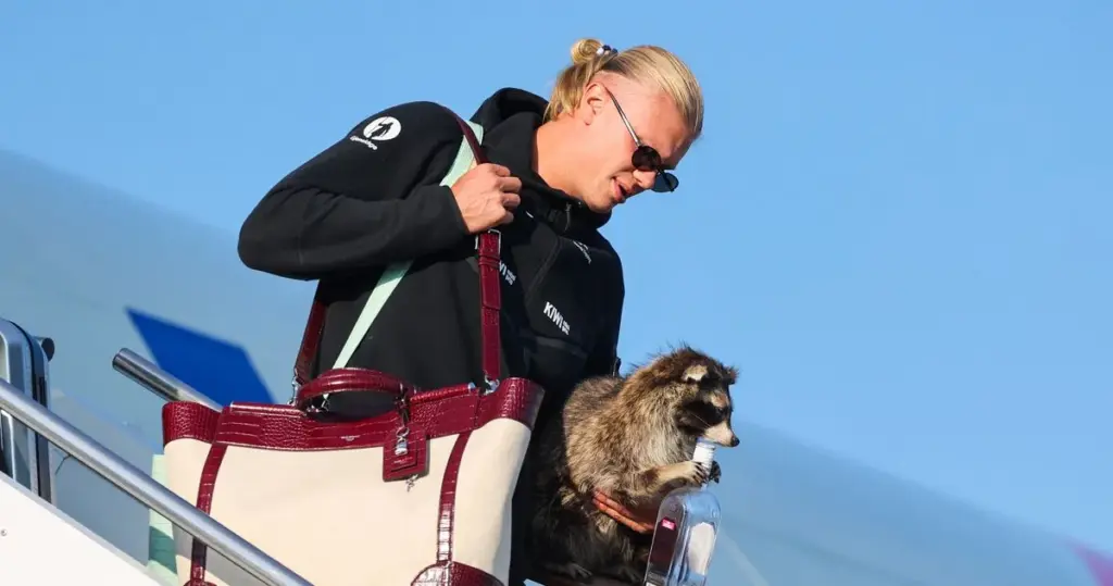 Erling Haaland paralyzes Oslo by stepping off the plane with a raccoon!