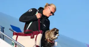 Erling Haaland paralyzes Oslo by stepping off the plane with a raccoon!