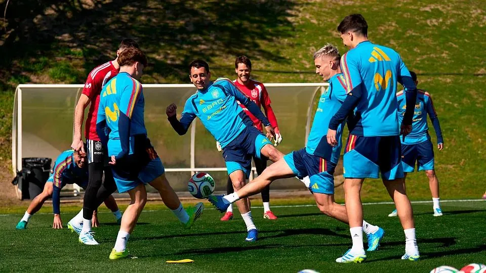 Spain national football team training before World Cup final